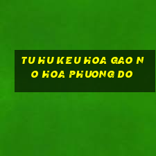 tu hu keu hoa gao no hoa phuong do