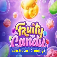 con hoán là con gì