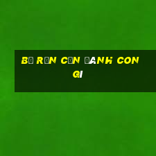 bị rắn cắn đánh con gì