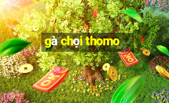 gà chọi thomo