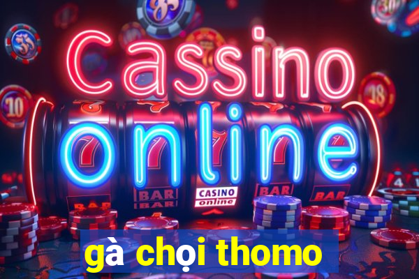 gà chọi thomo