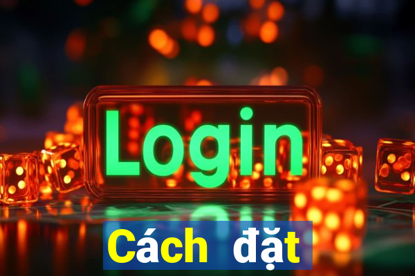 Cách đặt cược XSDNA ngày 13