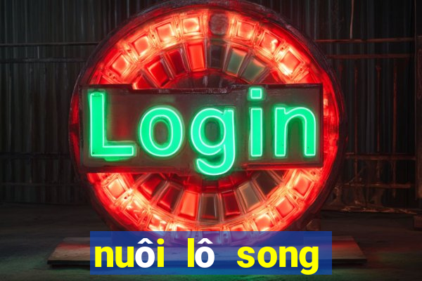 nuôi lô song thủ khung 2ngay