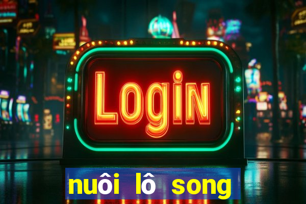 nuôi lô song thủ khung 2ngay