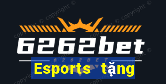 Esports tặng vàng trải nghiệm