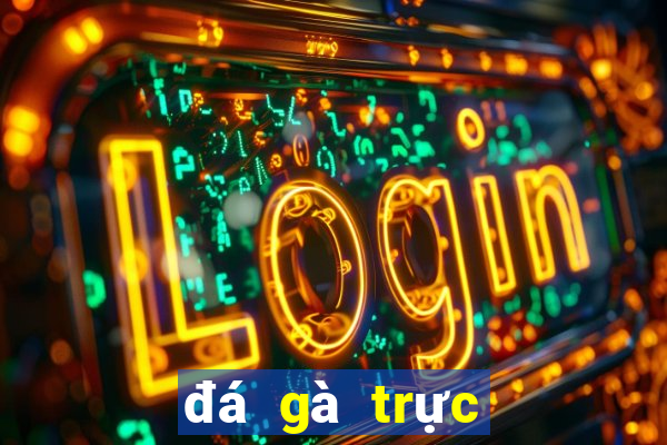 đá gà trực tiếp casino 369