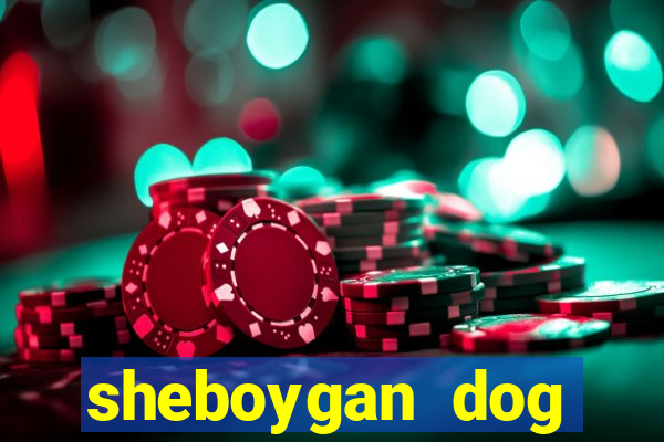 sheboygan dog training club