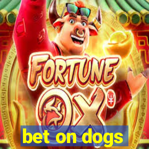 bet on dogs