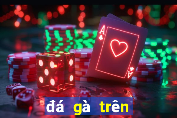 đá gà trên casino trực tiếp