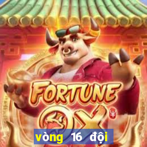 vòng 16 đội cúp c1 châu âu