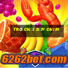 trò chơi bắn chim