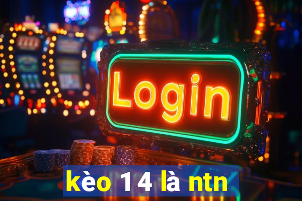 kèo 1 4 là ntn