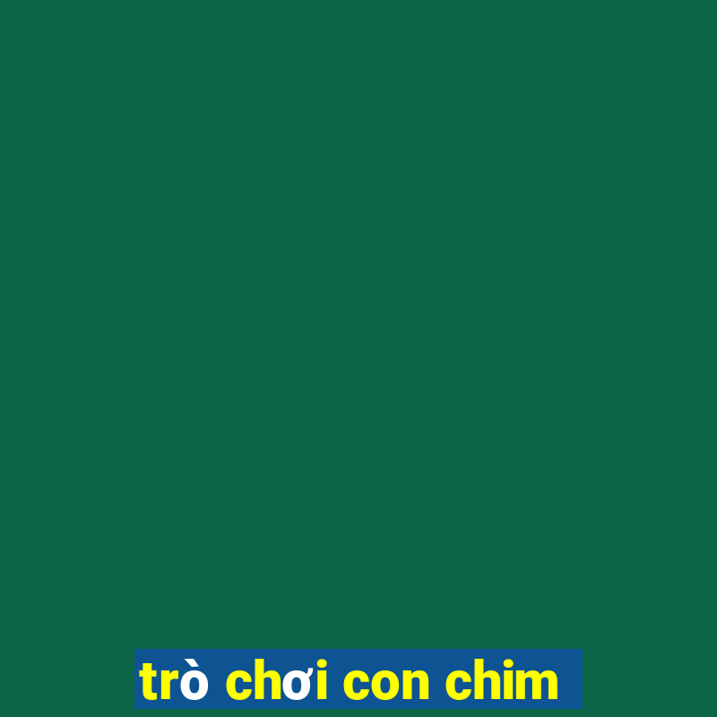 trò chơi con chim