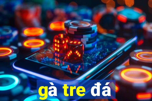 gà tre đá