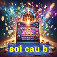 soi cau b