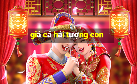 giá cá hải tượng con