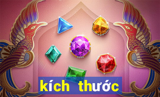 kích thước bệt trứng