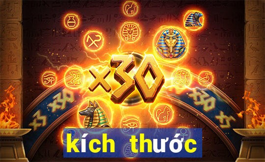 kích thước bệt trứng