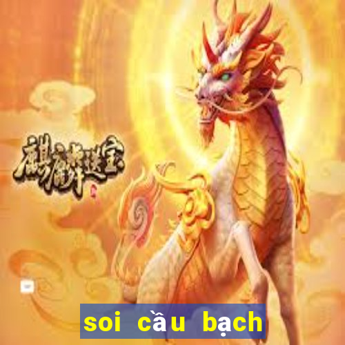 soi cầu bạch thủ thừa thiên huế