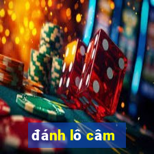 danh lo cam