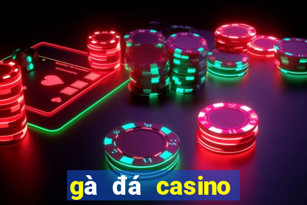 gà đá casino trực tiếp