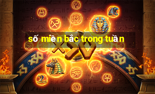 số miền bắc trong tuần