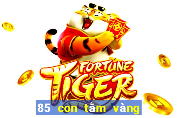 85 con tằm vàng để bắt cá