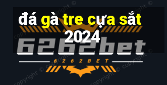 đá gà tre cựa sắt 2024