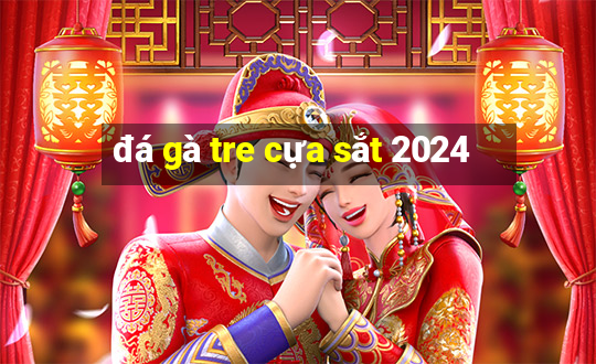 đá gà tre cựa sắt 2024