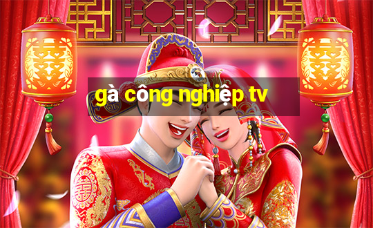 gà công nghiệp tv