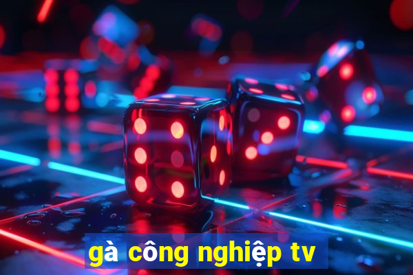 gà công nghiệp tv