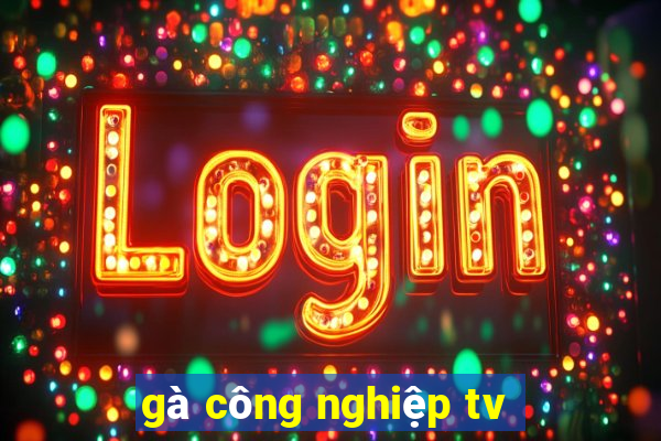 gà công nghiệp tv