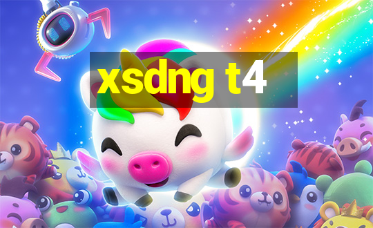 xsdng t4