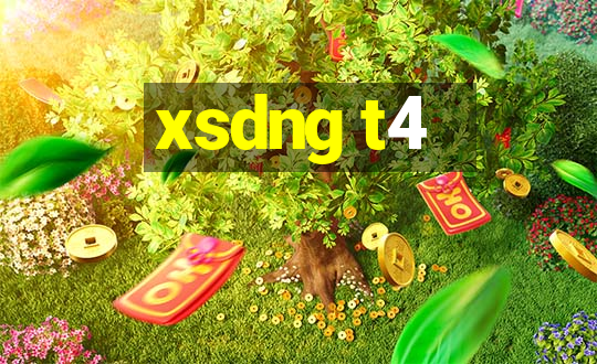 xsdng t4