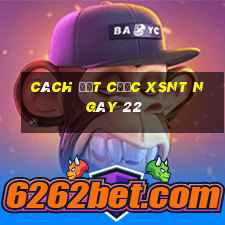 Cách đặt cược XSNT ngày 22