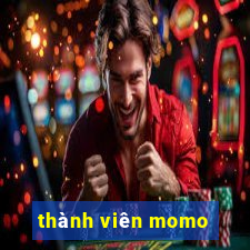 thành viên momo