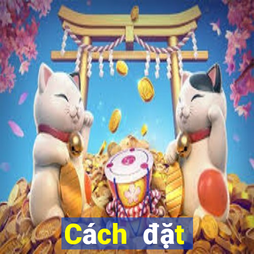 Cách đặt cược XSTG Thứ 2