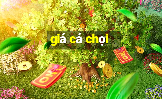 giá cá chọi