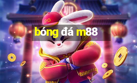 bóng đá m88