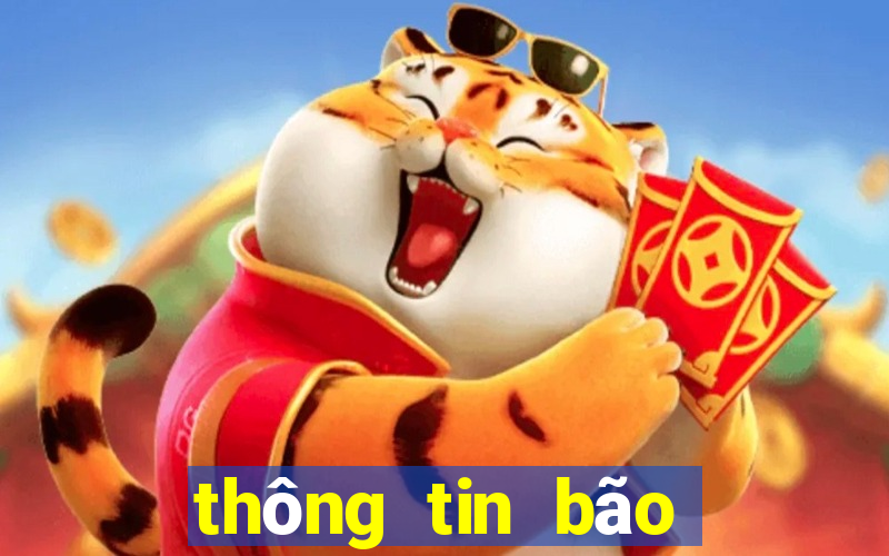 thông tin bão số 13