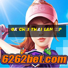 gà chọi thái lan đẹp