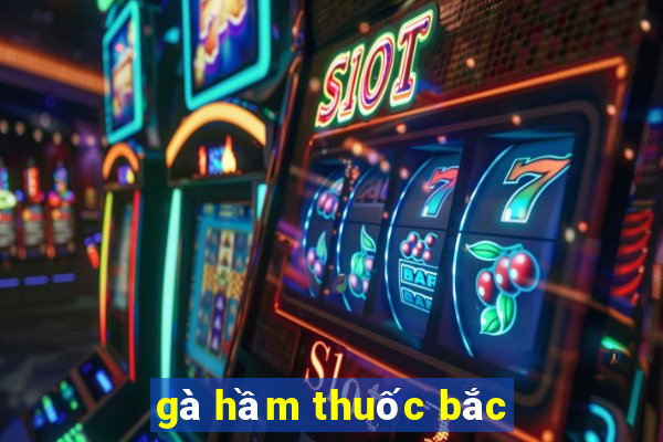 gà hầm thuốc bắc