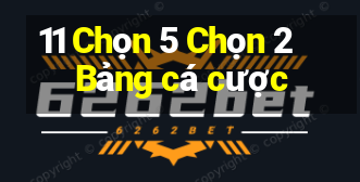 11 Chọn 5 Chọn 2 Bảng cá cược