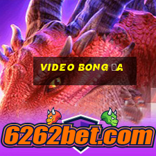 video bong đa