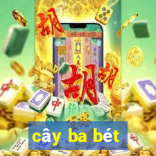 cây ba bét