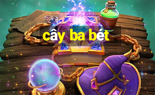 cây ba bét