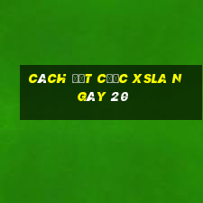 Cách đặt cược XSLA ngày 20