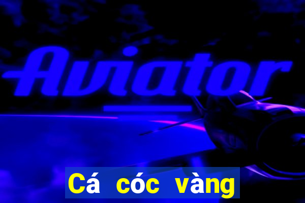 Cá cóc vàng Fun88 tải về