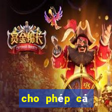 cho phép cá cược bóng đá đua ngựa