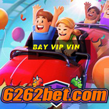 bay vip vin